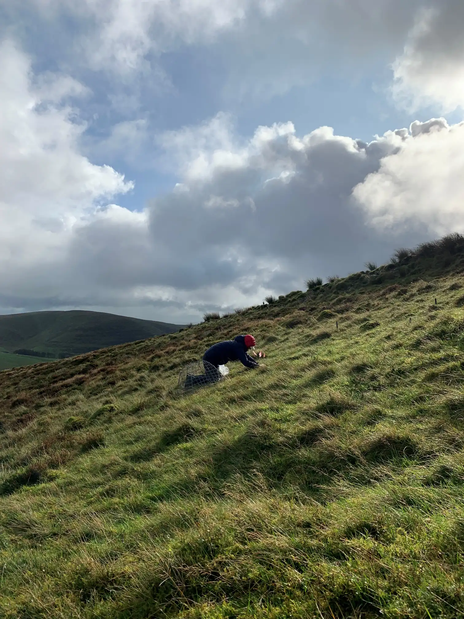 Welsh pilot site – Veg cutting