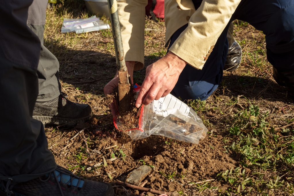 How LUCAS soil data supports EU policy and research - AI4SoilHealth