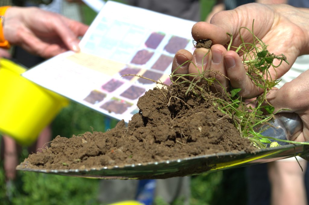 Soil sampling at Woodoaks Farm