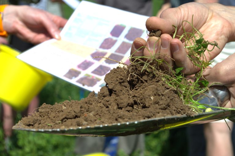 Soil sampling at Woodoaks Farm